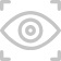 Icon tầm nhìn
